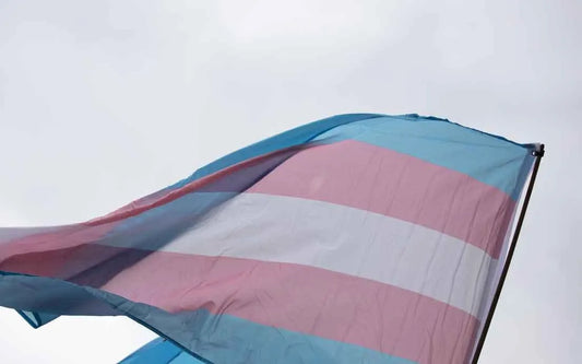 Tools and Sex Toys for Transmasculine FTM